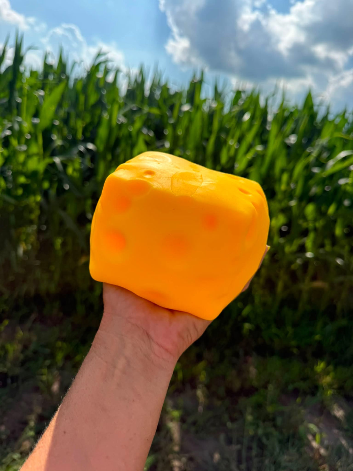RTS Giant Cheese